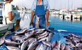 Fischmarkt am Marseiller Hafen