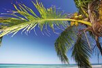 Palmenstrand auf Kuba