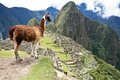 Verlorene Inka-Stadt Machu Picchu in Peru